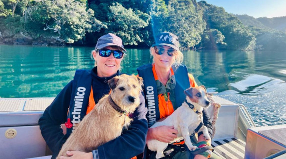 Two Department of Conservation workers sitting on a boat holding small terrier type dogs