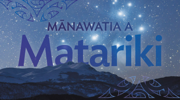 Matariki banner
