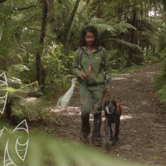 Public Service Commission mobile banner