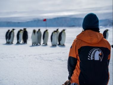 Antarctica New Zealand employee standing with their back to the camera looking at penguins