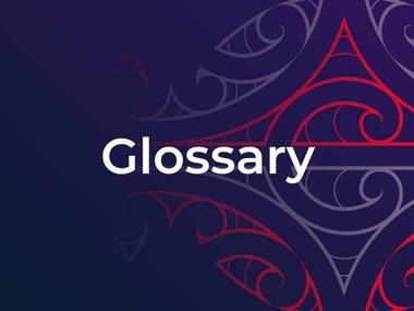 Glossary