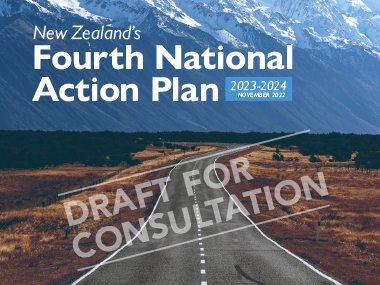 NAP4 Draft for Consulatation