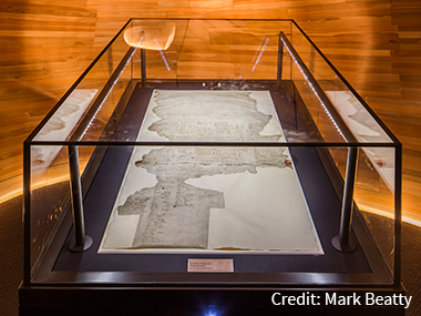 Public Service History