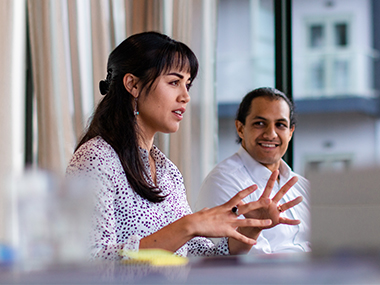 Role of the Public Service