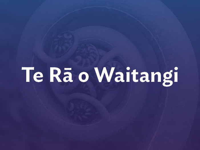 Waitangi Blog image