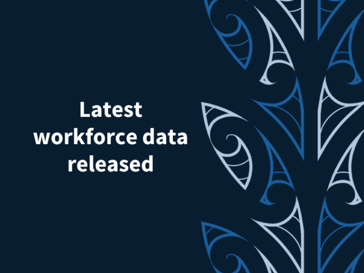 Workforce data release 2025