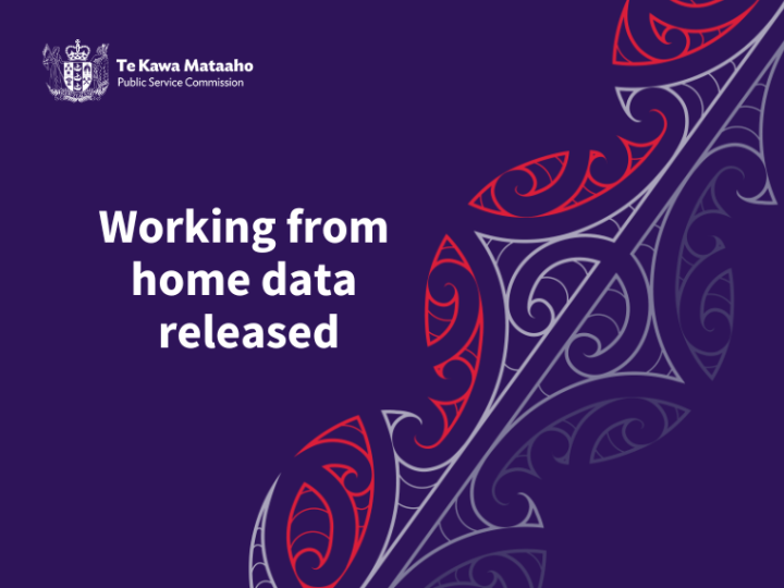 Working from home data released
